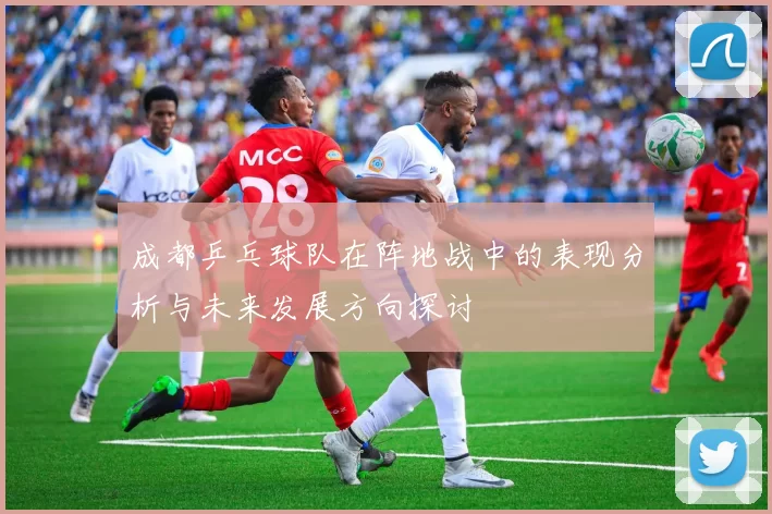 成都乒乓球队在阵地战中的表现分析与未来发展方向探讨