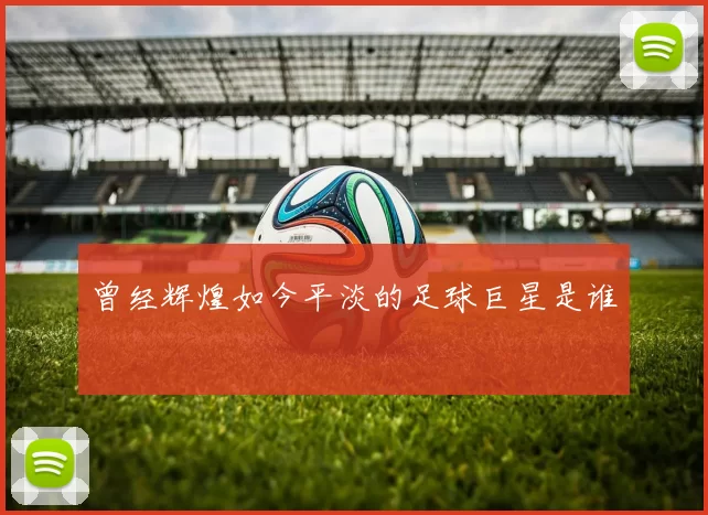 曾经辉煌如今平淡的足球巨星是谁