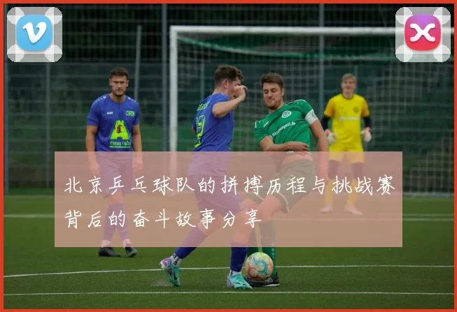 北京乒乓球队的拼搏历程与挑战赛背后的奋斗故事分享