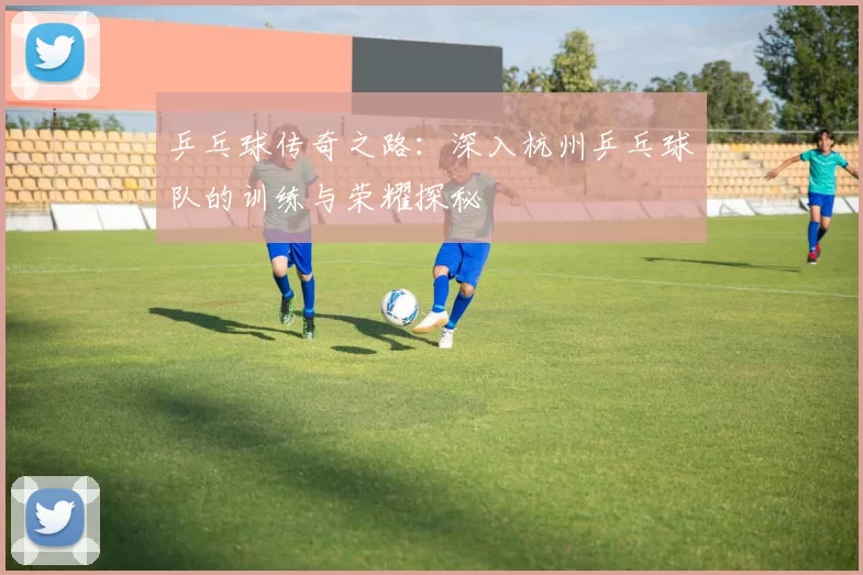 乒乓球传奇之路:深入杭州乒乓球队的训练与荣耀探秘