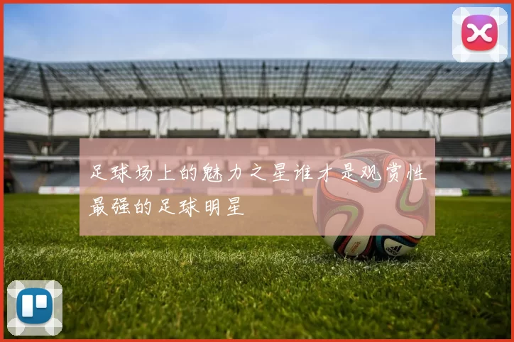 足球场上的魅力之星谁才是观赏性最强的足球明星