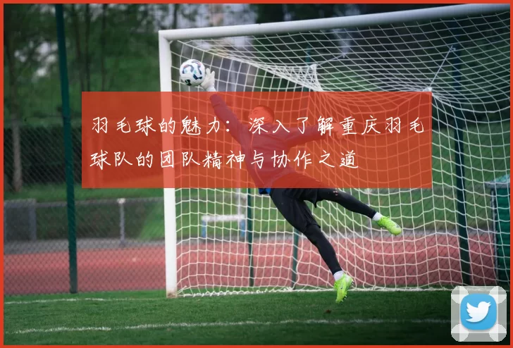 羽毛球的魅力：深入了解重庆羽毛球队的团队精神与协作之道