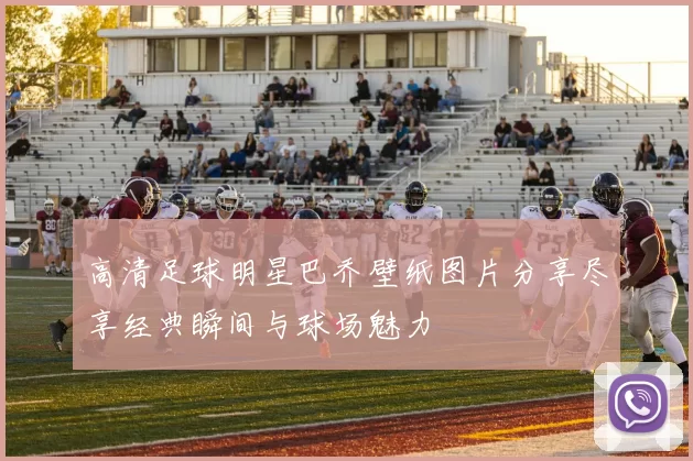 高清足球明星巴乔壁纸图片分享尽享经典瞬间与球场魅力