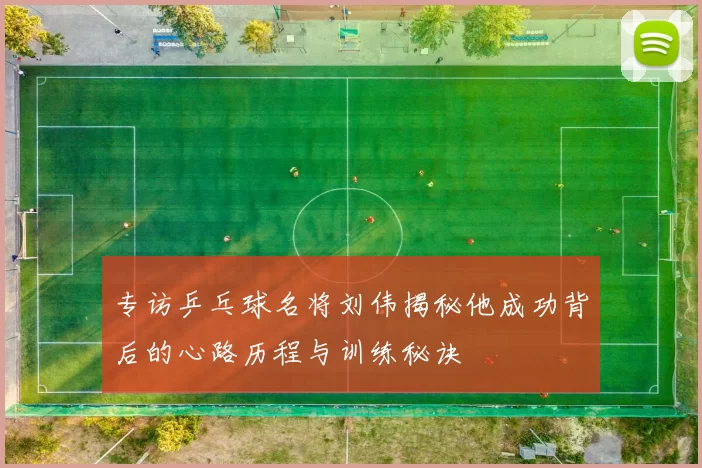 专访乒乓球名将刘伟揭秘他成功背后的心路历程与训练秘诀