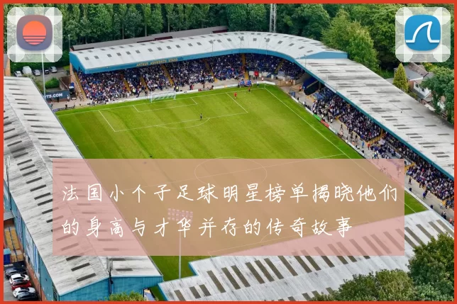 法国小个子足球明星榜单揭晓他们的身高与才华并存的传奇故事