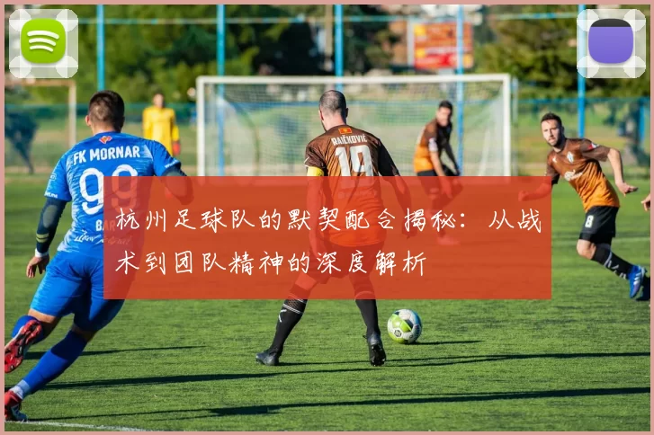 杭州足球队的默契配合揭秘：从战术到团队精神的深度解析