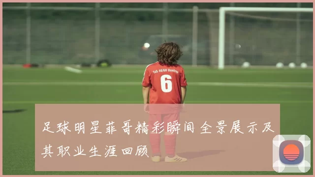 足球明星菲哥精彩瞬间全景展示及其职业生涯回顾