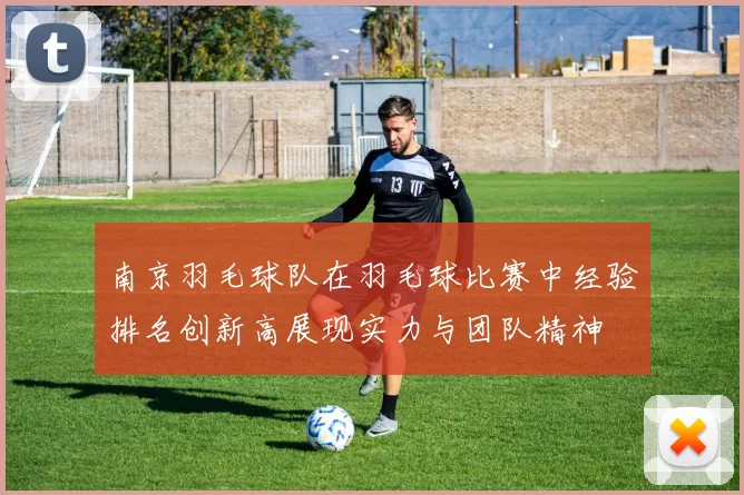 南京羽毛球队在羽毛球比赛中经验排名创新高展现实力与团队精神