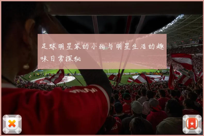 足球明星家的小狗与明星生活的趣味日常探秘