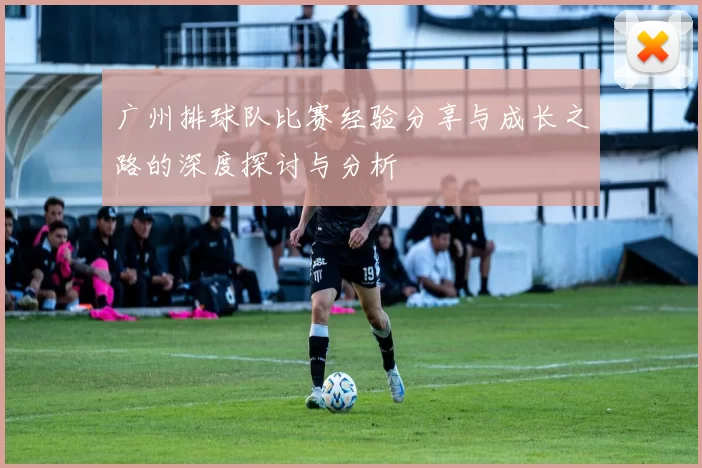 广州排球队比赛经验分享与成长之路的深度探讨与分析