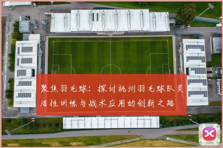 聚焦羽毛球:探讨杭州羽毛球队灵活性训练与战术应用的创新之路