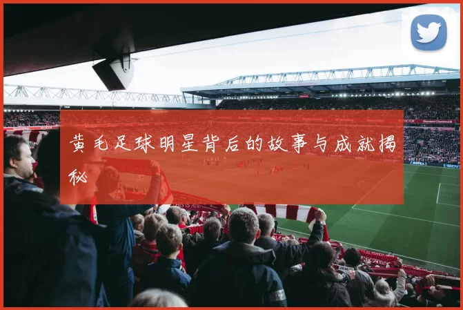 黄毛足球明星背后的故事与成就揭秘