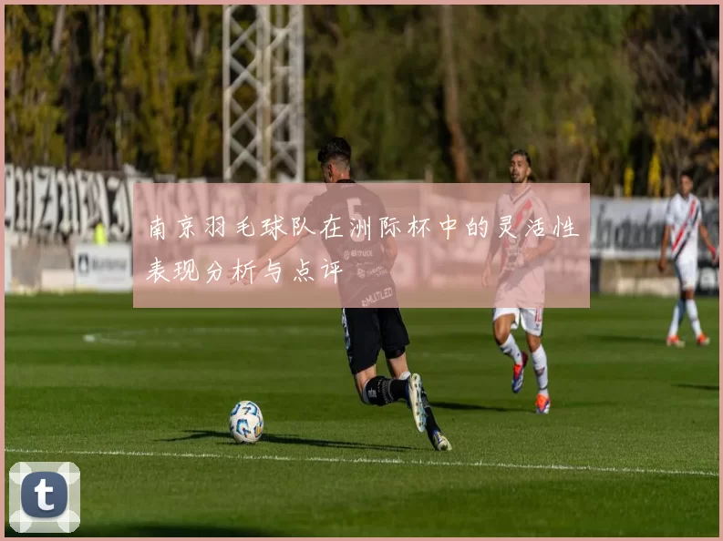 南京羽毛球队在洲际杯中的灵活性表现分析与点评