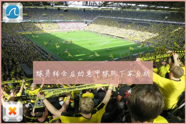 球员转会后的意甲球队下家分析