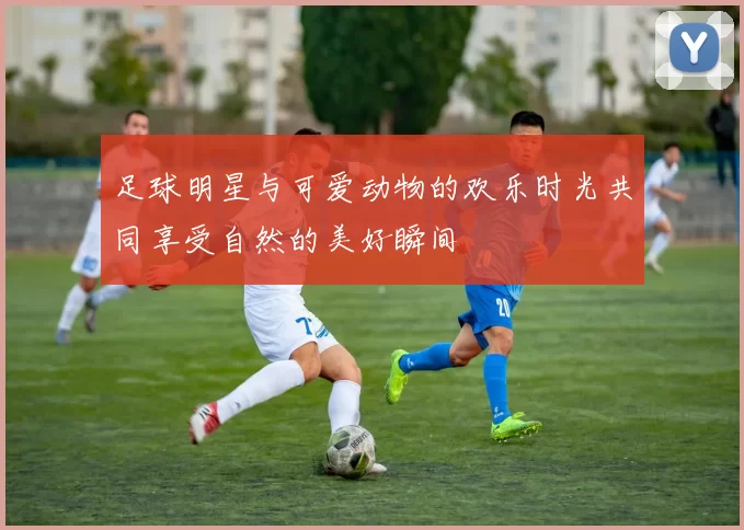 足球明星与可爱动物的欢乐时光共同享受自然的美好瞬间