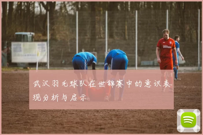 武汉羽毛球队在世锦赛中的意识表现分析与启示