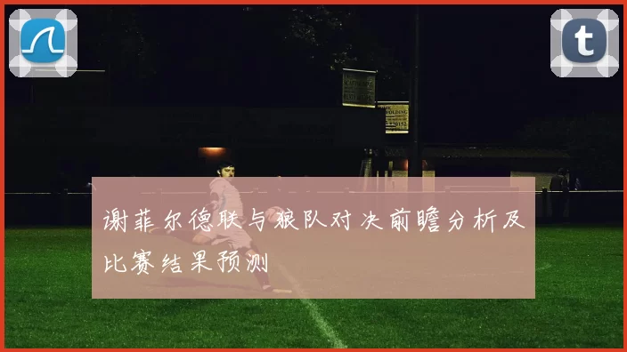 谢菲尔德联与狼队对决前瞻分析及比赛结果预测