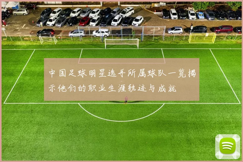 中国足球明星选手所属球队一览揭示他们的职业生涯轨迹与成就