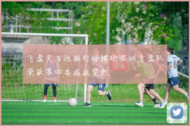 飞盘灵活性排行榜揭晓深圳飞盘队荣获第四名成就斐然
