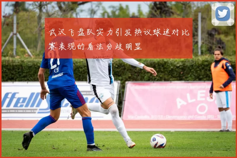 武汉飞盘队实力引发热议球迷对比赛表现的看法分歧明显