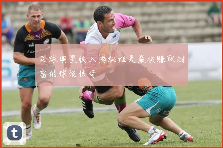 足球明星收入揭秘谁是最快赚取财富的球场传奇