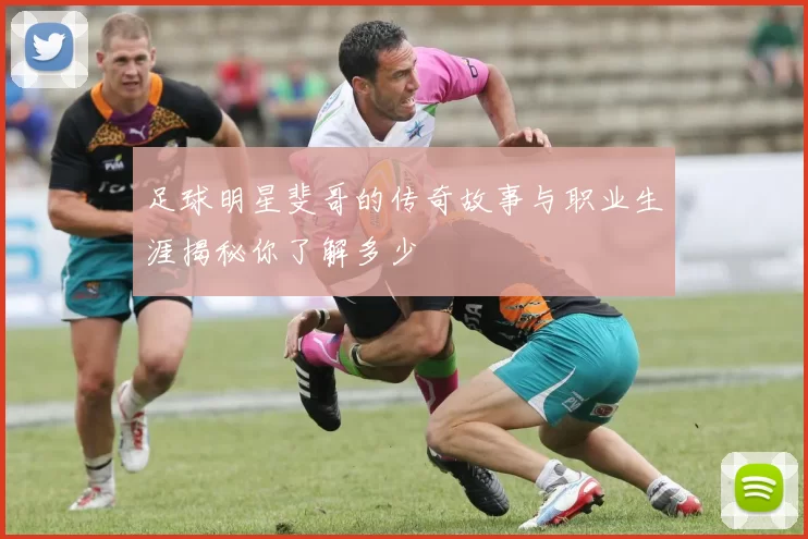 足球明星斐哥的传奇故事与职业生涯揭秘你了解多少