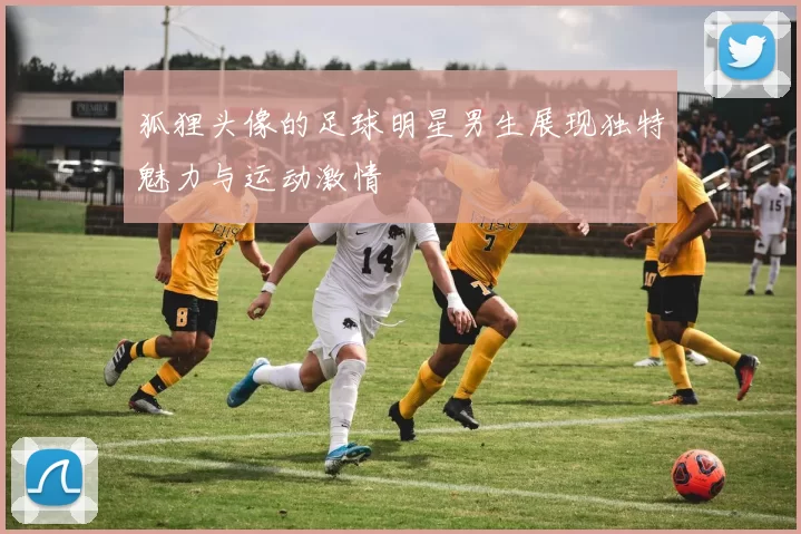 狐狸头像的足球明星男生展现独特魅力与运动激情